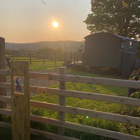 The Peacock Shepherds Hut At Hafoty Boeth Corwen Exterior foto