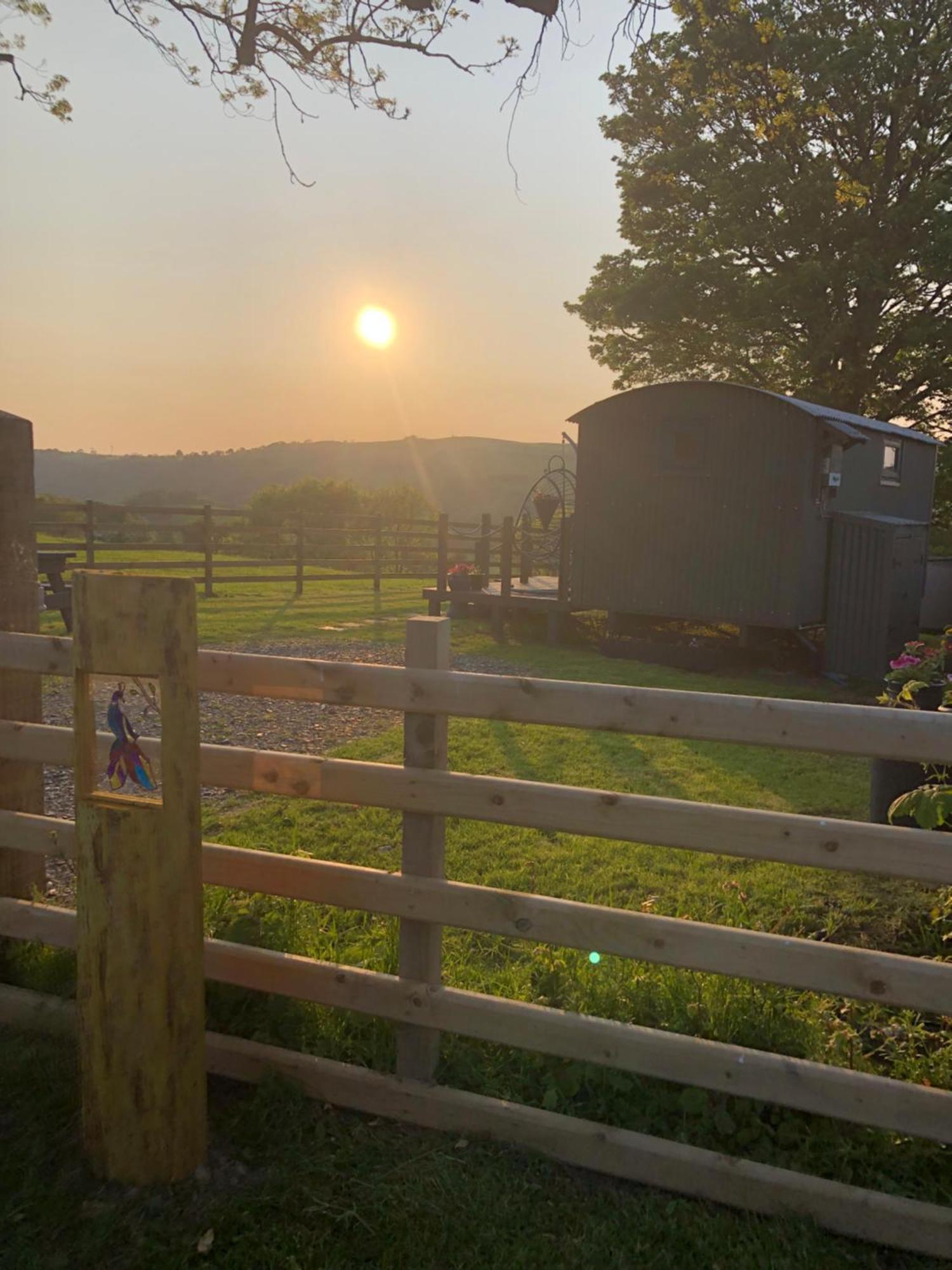 The Peacock Shepherds Hut At Hafoty Boeth Corwen Exterior foto