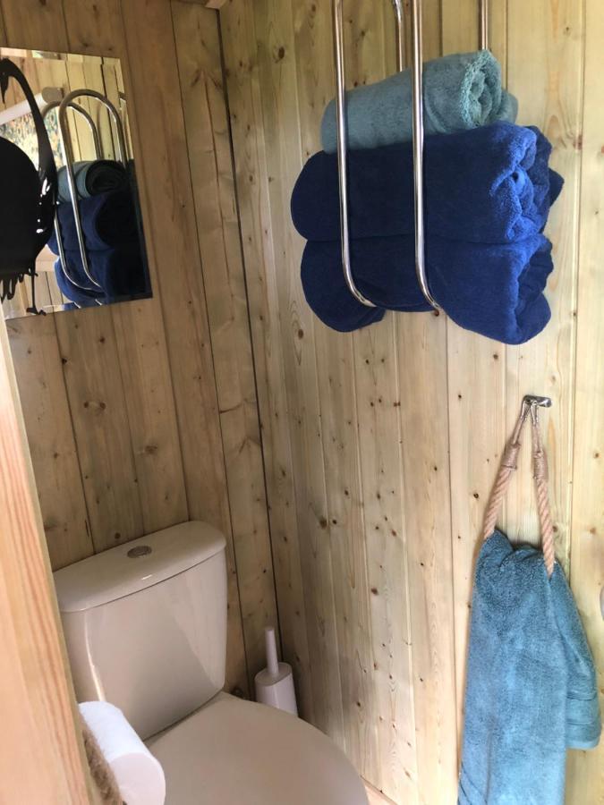 The Peacock Shepherds Hut At Hafoty Boeth Corwen Exterior foto
