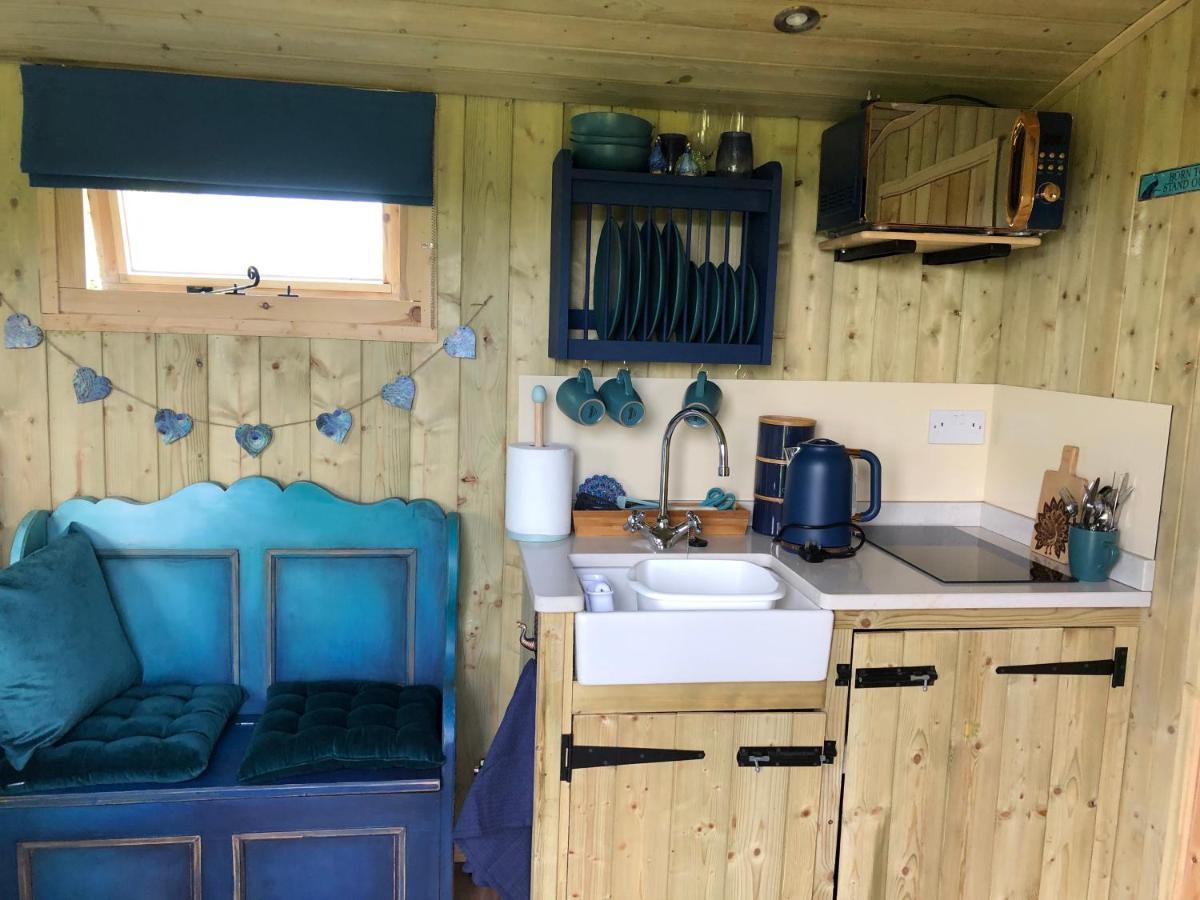 The Peacock Shepherds Hut At Hafoty Boeth Corwen Exterior foto
