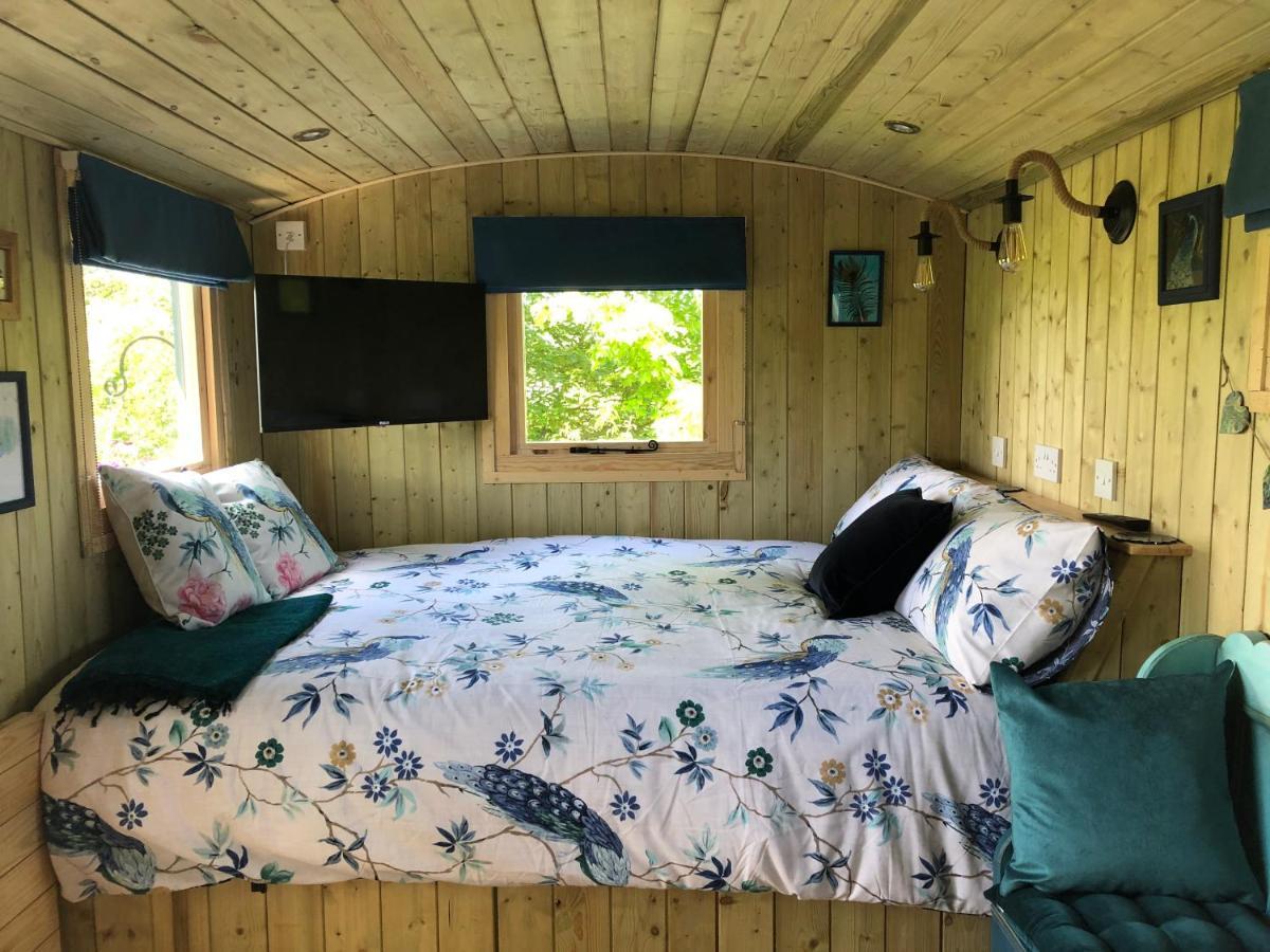 The Peacock Shepherds Hut At Hafoty Boeth Corwen Exterior foto